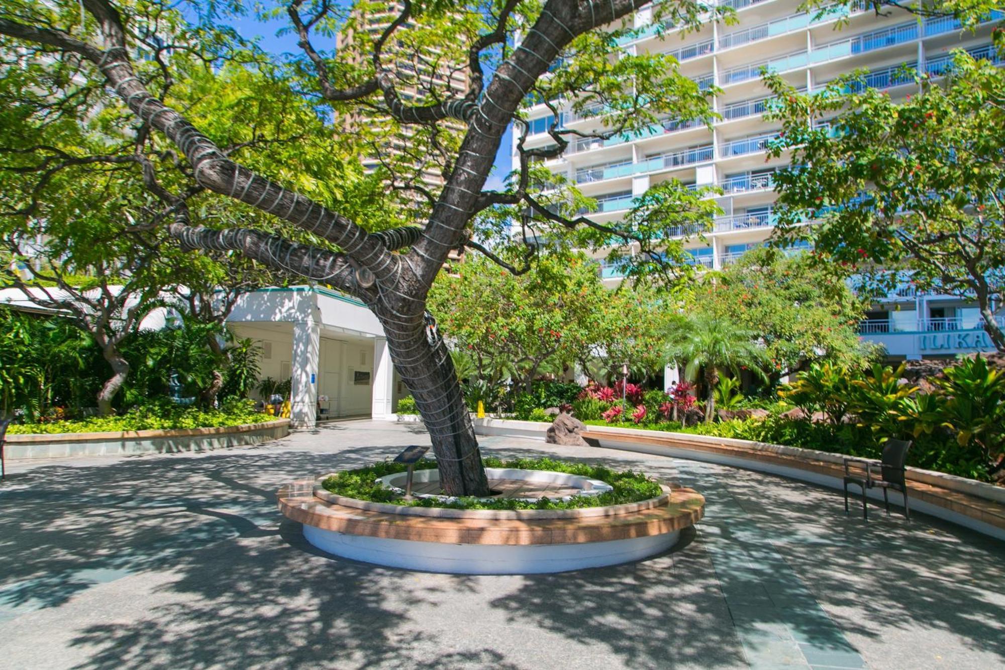 Ilikai Tower 2109 City View 2Br Honolulu Exteriör bild